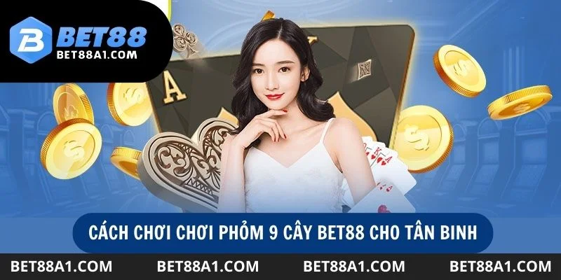 Hướng dẫn chi tiết cách chơi phỏm 9 cây cho tân binh