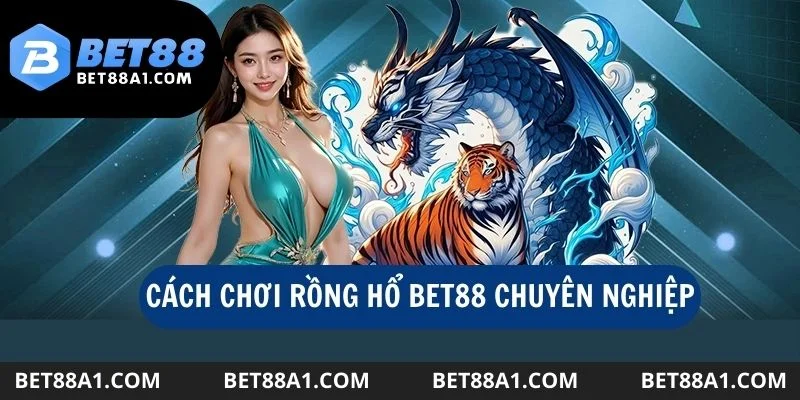 Cách chơi rồng hổ chuyên nghiệp