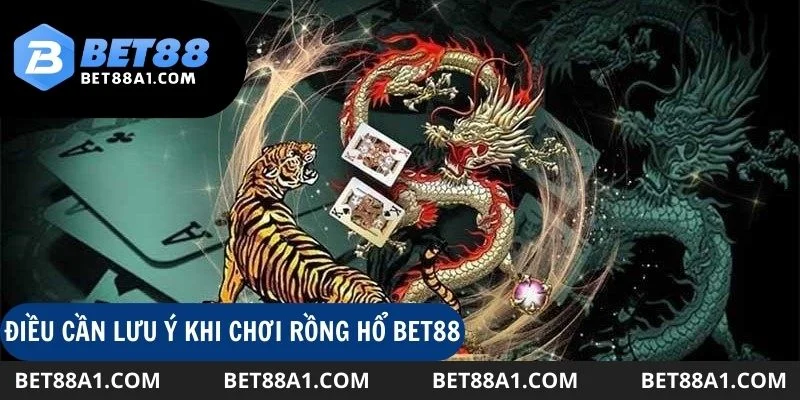 Những điều cần lưu ý khi chơi rồng hổ