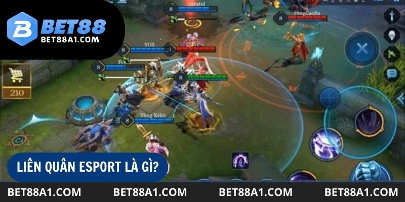 Cá cược Liên Quân Esport đang dần trở thành xu hướng